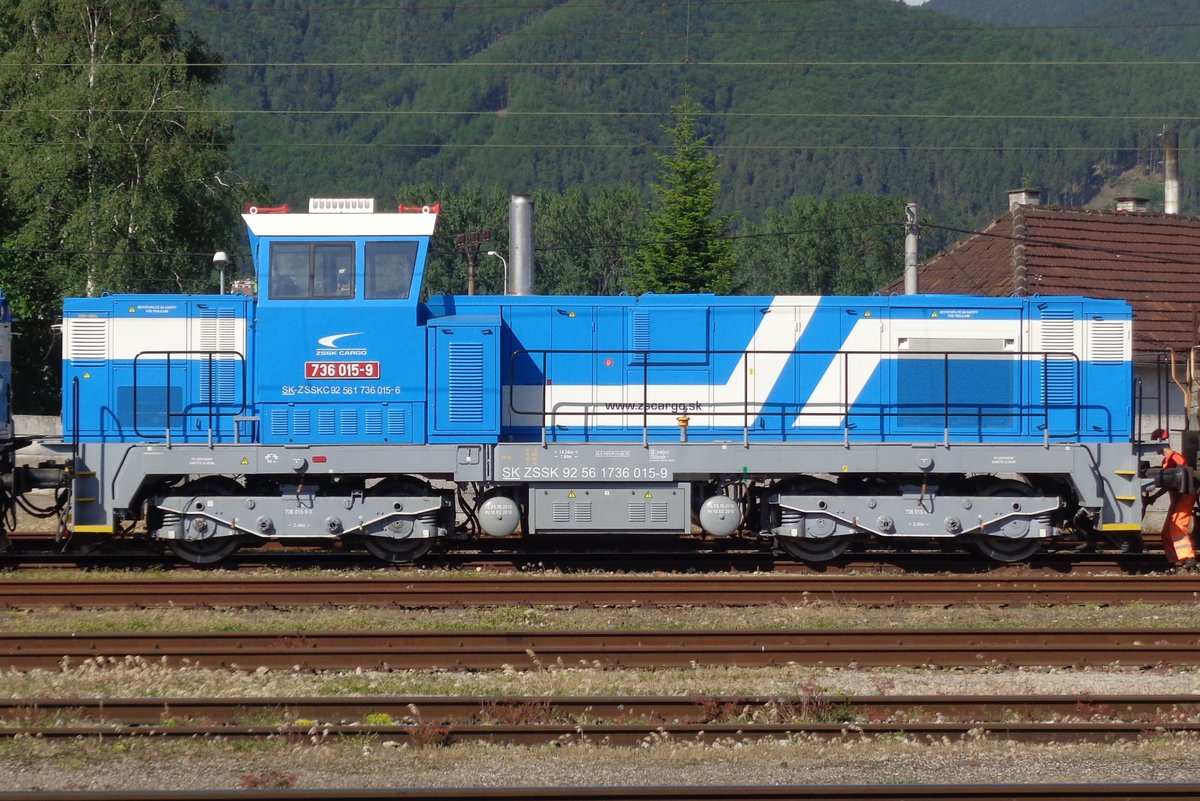 Side view on 736 015 at Vrutky on 14 May 2018. 