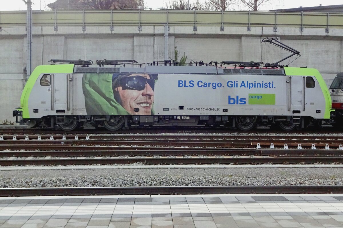 Side view on BLS 486 501 stabled at Spiez on 1 January 2020.