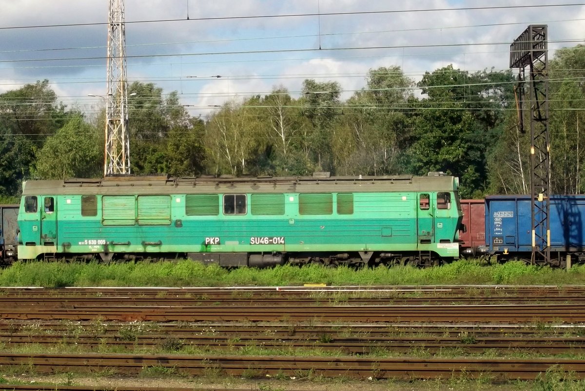 Side view on SU46-014 at Wegliniec on 23 September 2014.
