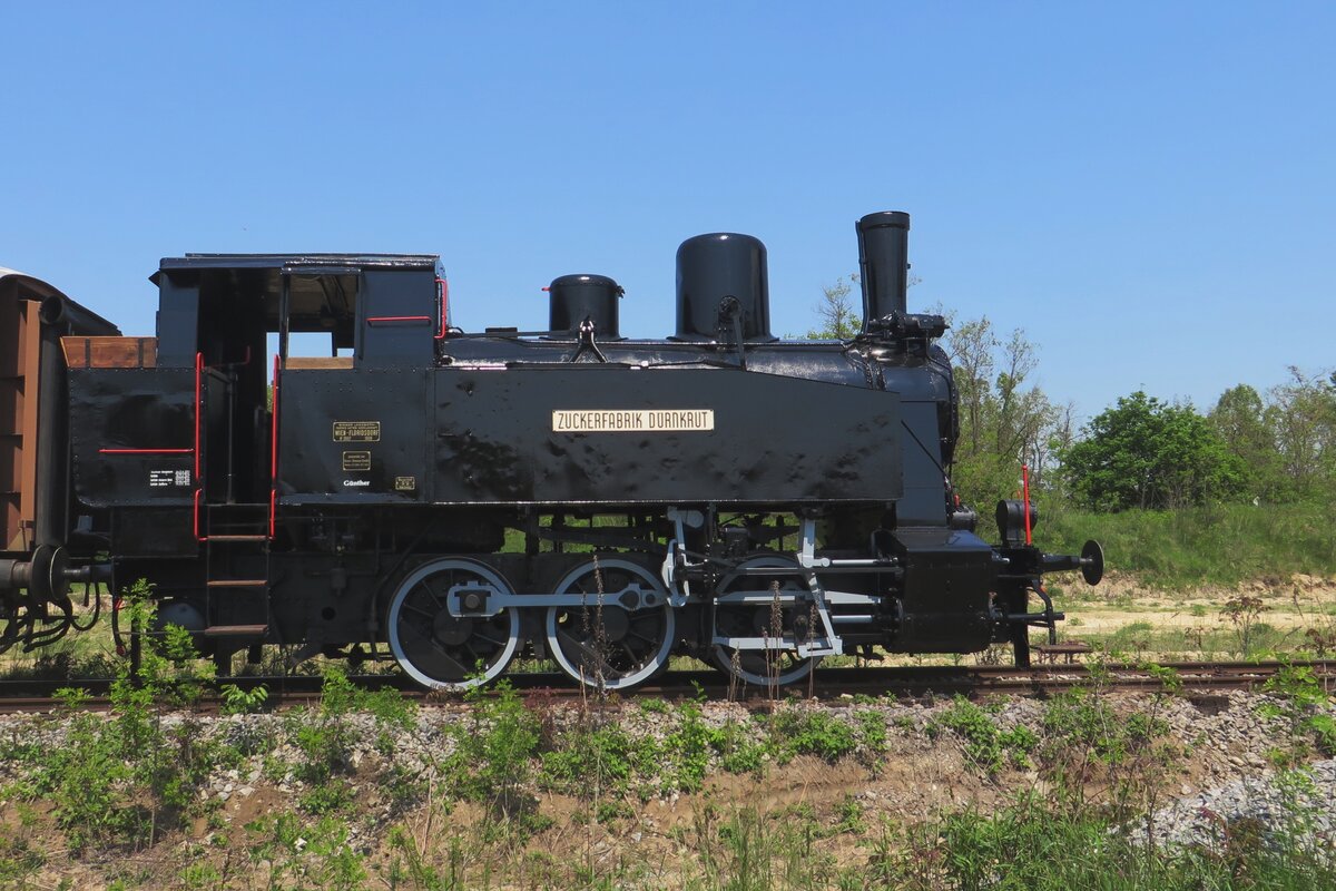 Side viw on GUENTHER, a steam loco, used by the sugar factory of Durnkrut and saved by the Heizhaus Strasshof, where she is seen on 21 May 2023.