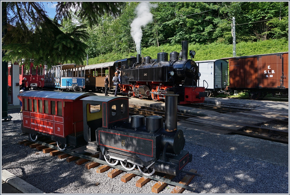 Small and big steamer trains in Chaulin 

21.06.2020