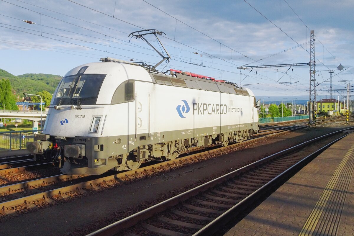 Solo ride for PKP cargo International (formerly AWT) 183 718 through Deçin lh.n. on 20 June 2022.