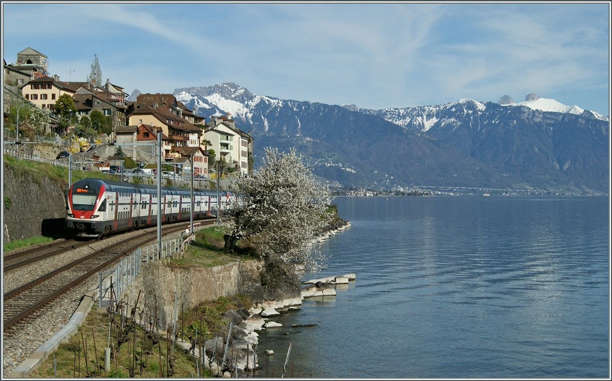 Spring time by St Saphorin: A Kiss on the way to Vevey.
15.04.2015