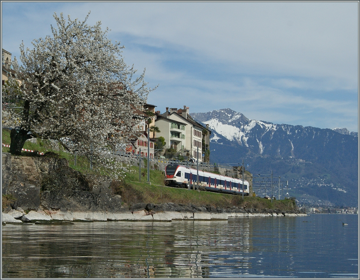 Spring time by St Saphorin: A Flirt on the way to Lausanne. 
15.04.2015