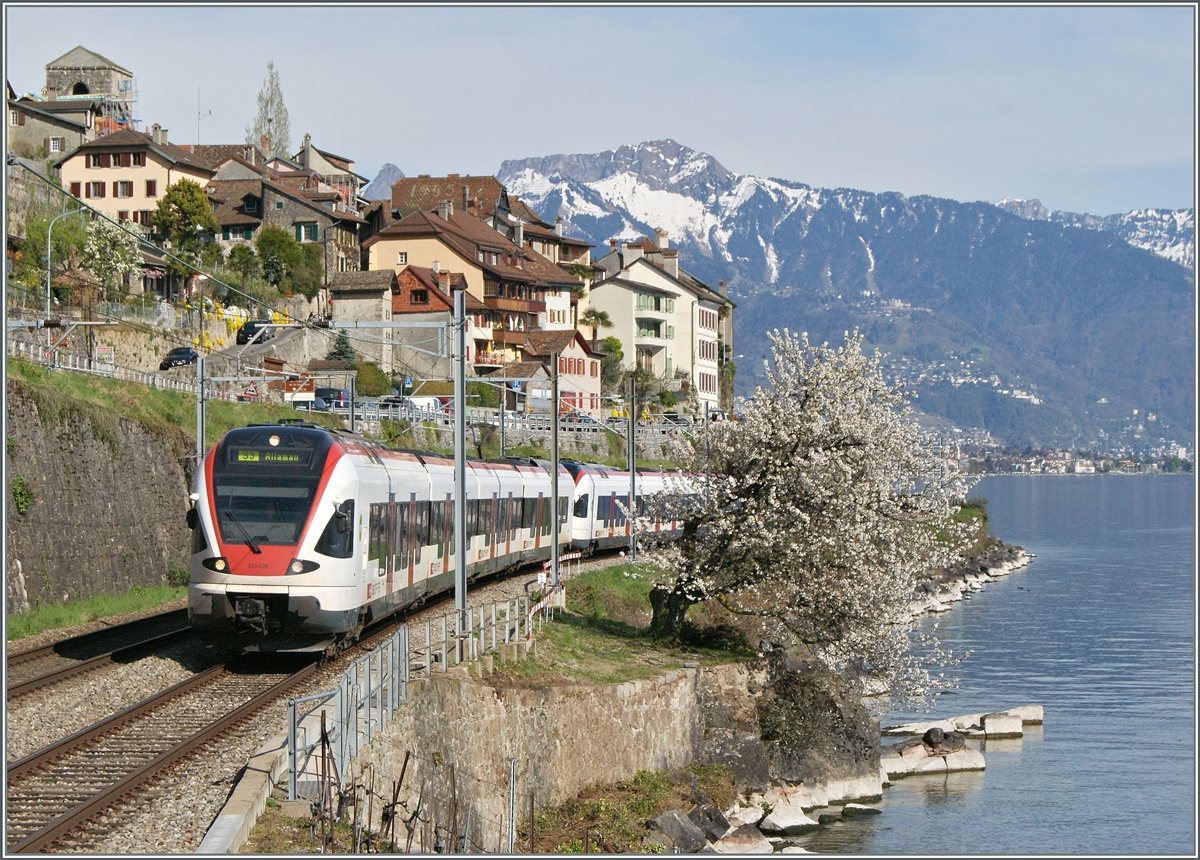 Spring time by St Saphorin: A Flirt on the way to Allaman. 15.04.2015
