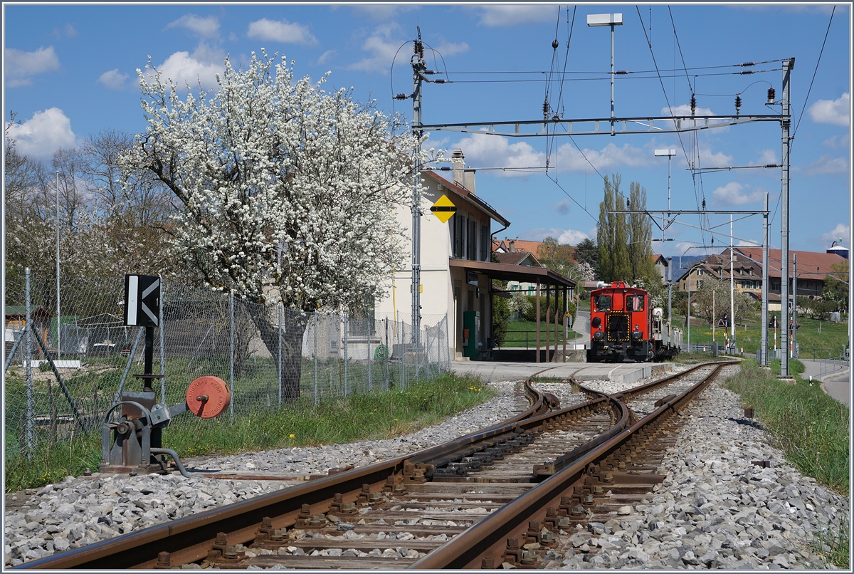 Spring time by the BAM Station Pampigny-Sévery.
10.04.2017