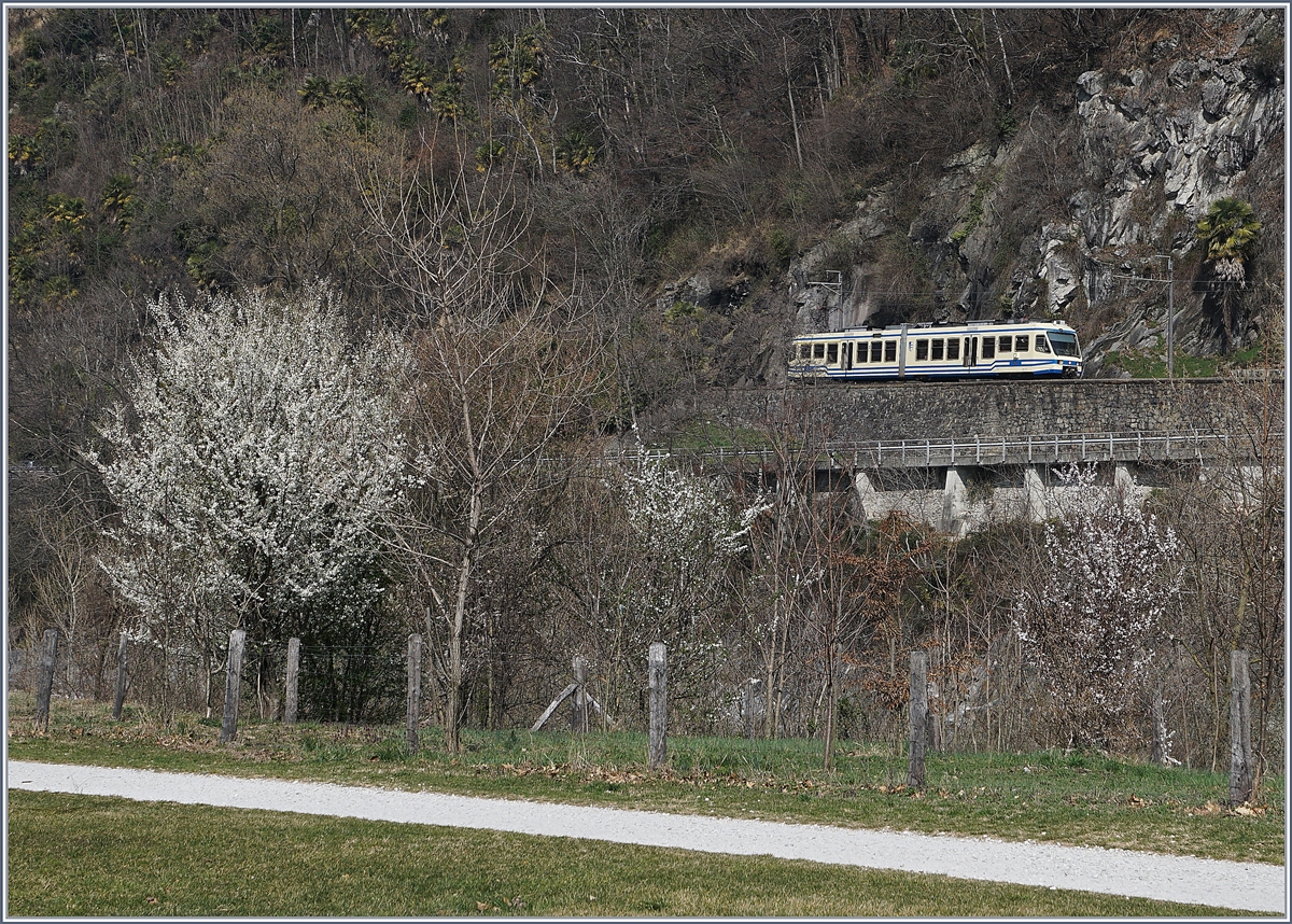 Spring time by the FART near Ponte Brolla.
16.03.2017