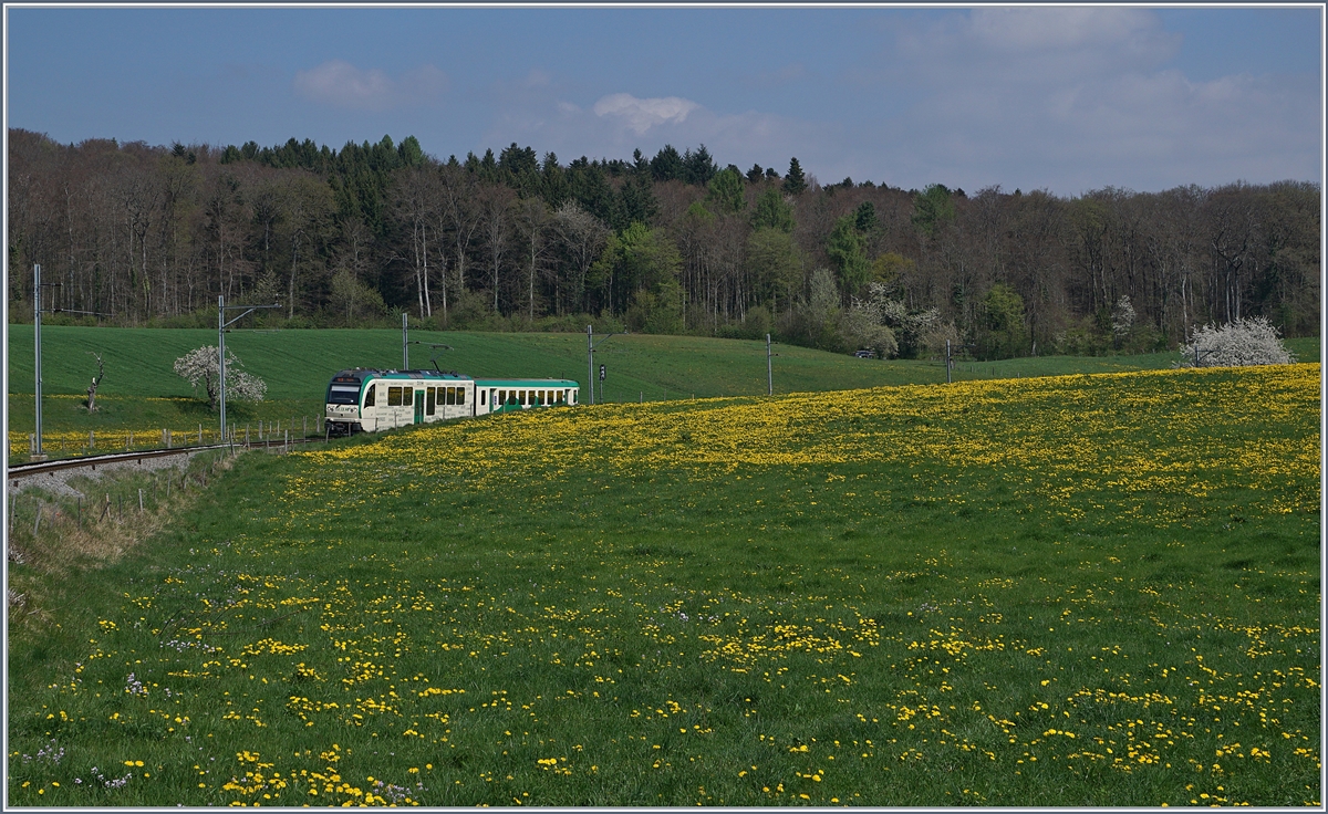 Springtime! A BAM local Train near Apples.
14.04.2017