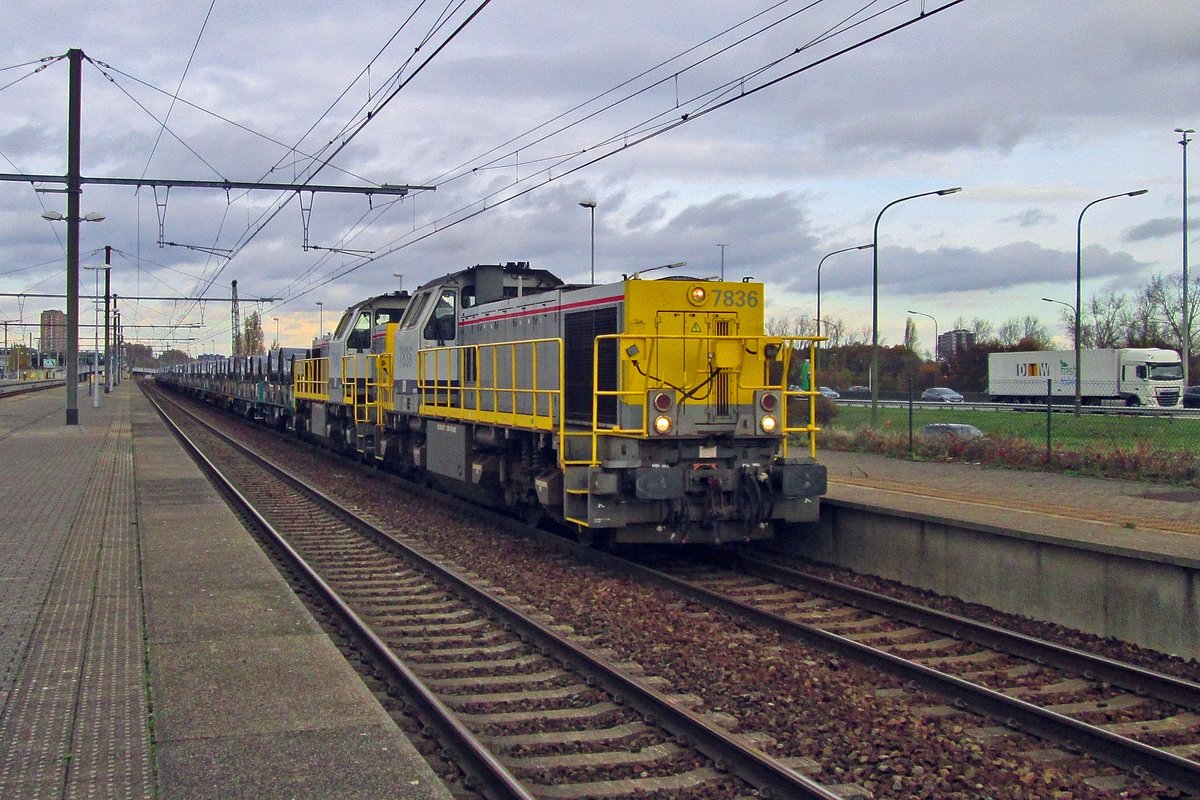 Steel coils train with 7836 at the reins passes Antwerpen-Luchtbal on 19 November 2016.