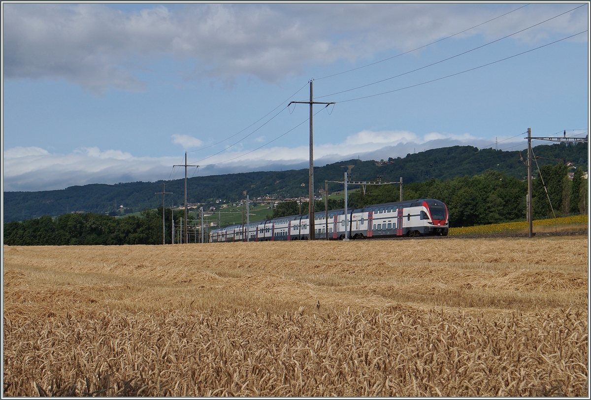 Summer on the Lausanne - Geneve line: A RABDe 511 near Perroy.
08.07.2015