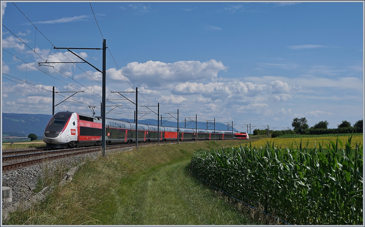 TGV Lyria 4721 on the way from Paris to Lausanne near Arnex. 

14.07.2020