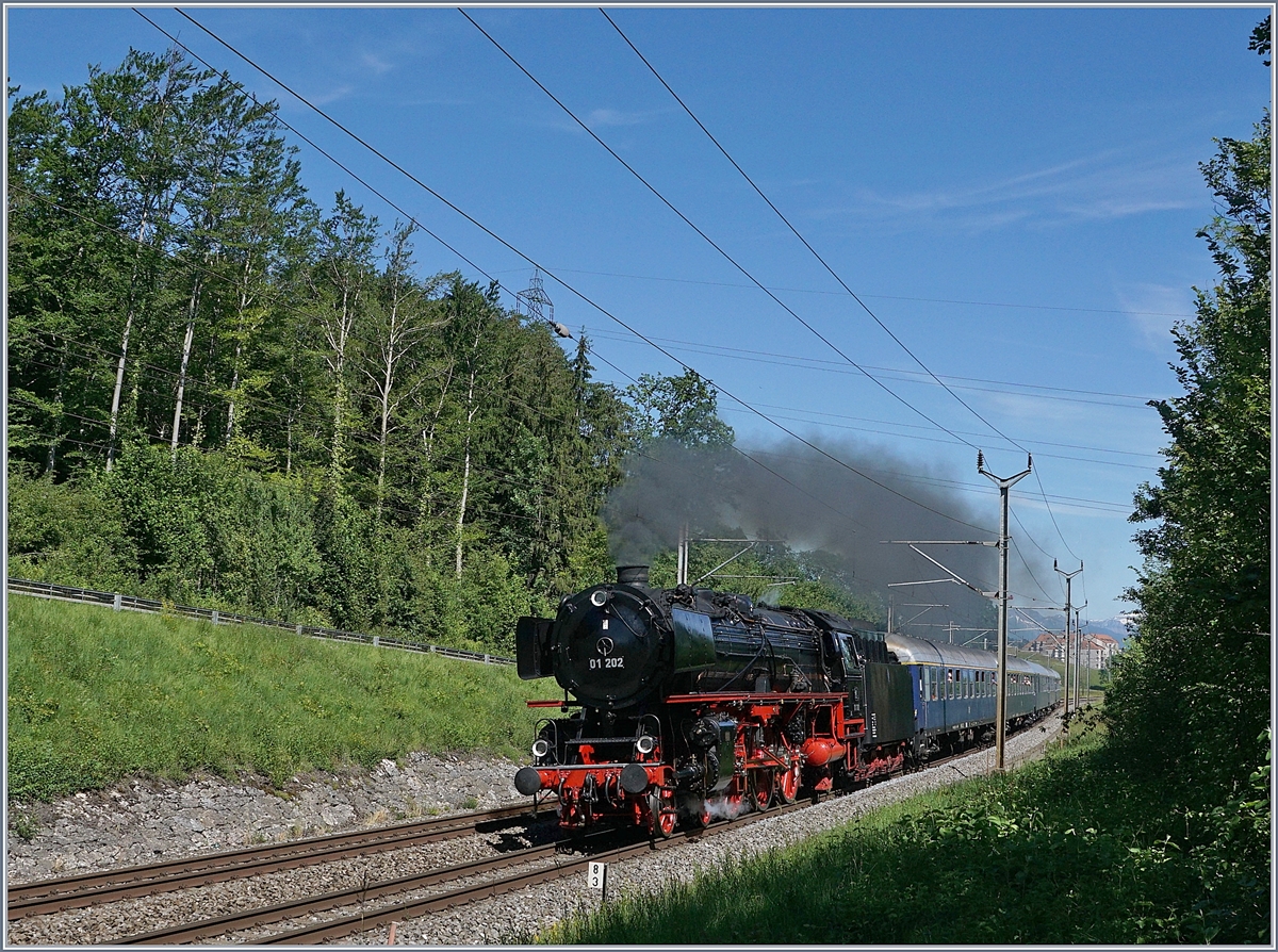 The 01 202 with a Special service from Geneva to Lyss near Bussigny. 

08.06.2019