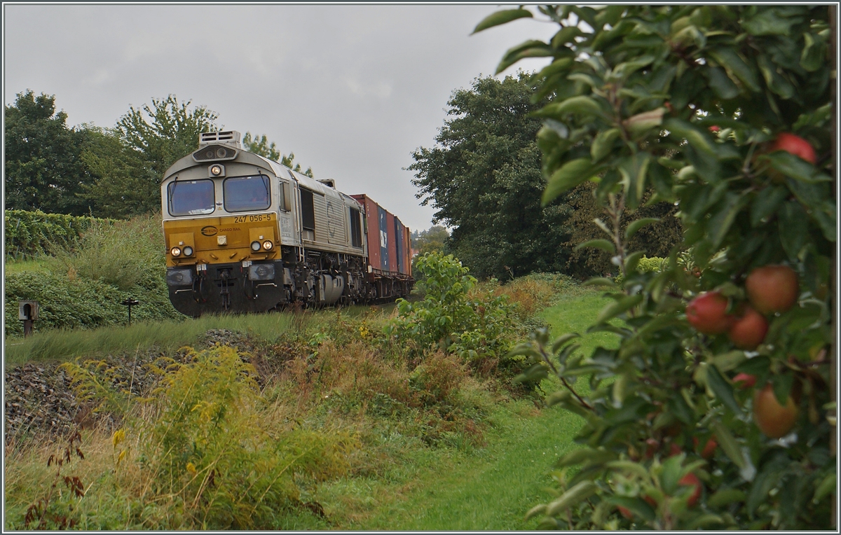 The 247 056-5 between Lindau and Friedrichshaben.
18.09.2015