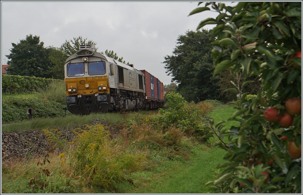 The 247 056-5 near Nonnenhorn.
18.09.2015