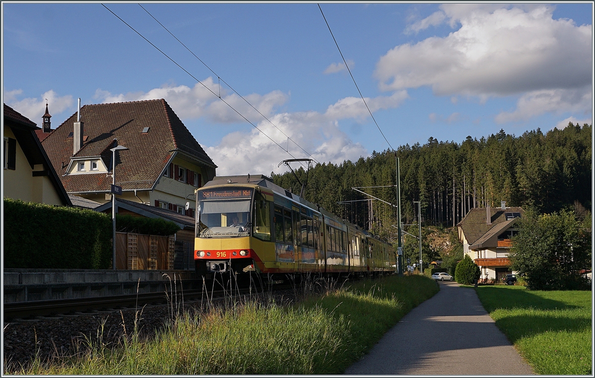 The 450 916 and an other one in Röt. 

12.09.2021