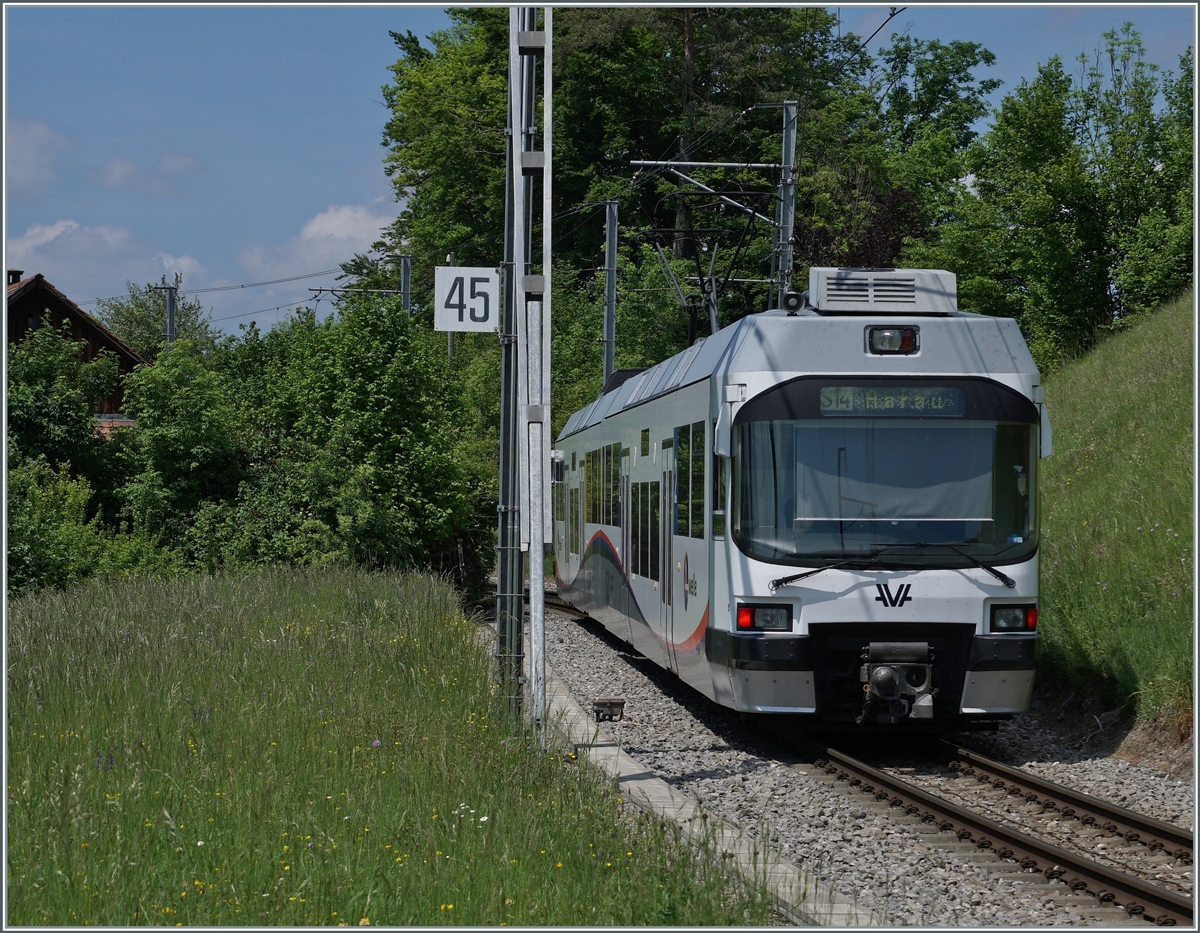 The AAR (ex WSB) ABe 4/8 N° 29 by Zetzwil on the way to Aarau. 

14.05.2022