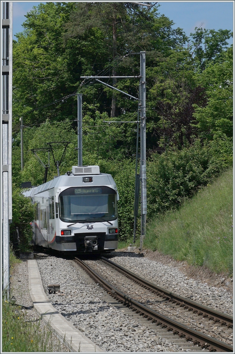 The AAR (ex WSB) ABe 4/8 N° 29 by Zetzwil on the way to Aarau. 

14.05.2022