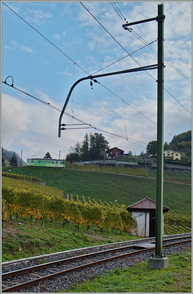 The ASD BDe 4/4 402 as local train 425 Les Diablertes - Aigle in Aigle's Vineyards. 
14.10.2015