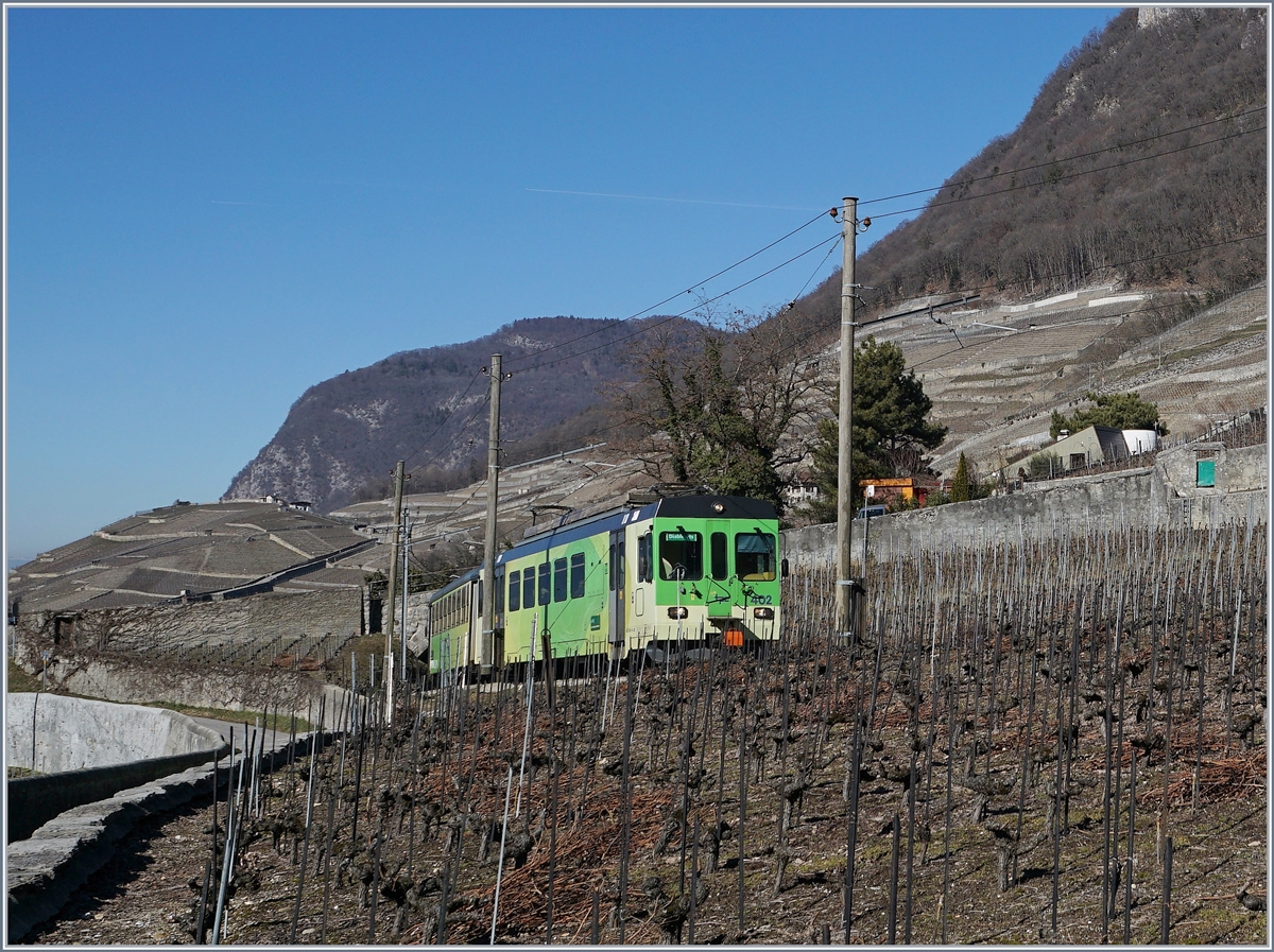 The ASD BDe 4/4 402 with his Bt on the way to Les Diablerets in the vineyards by Aigle.

17.02.2019