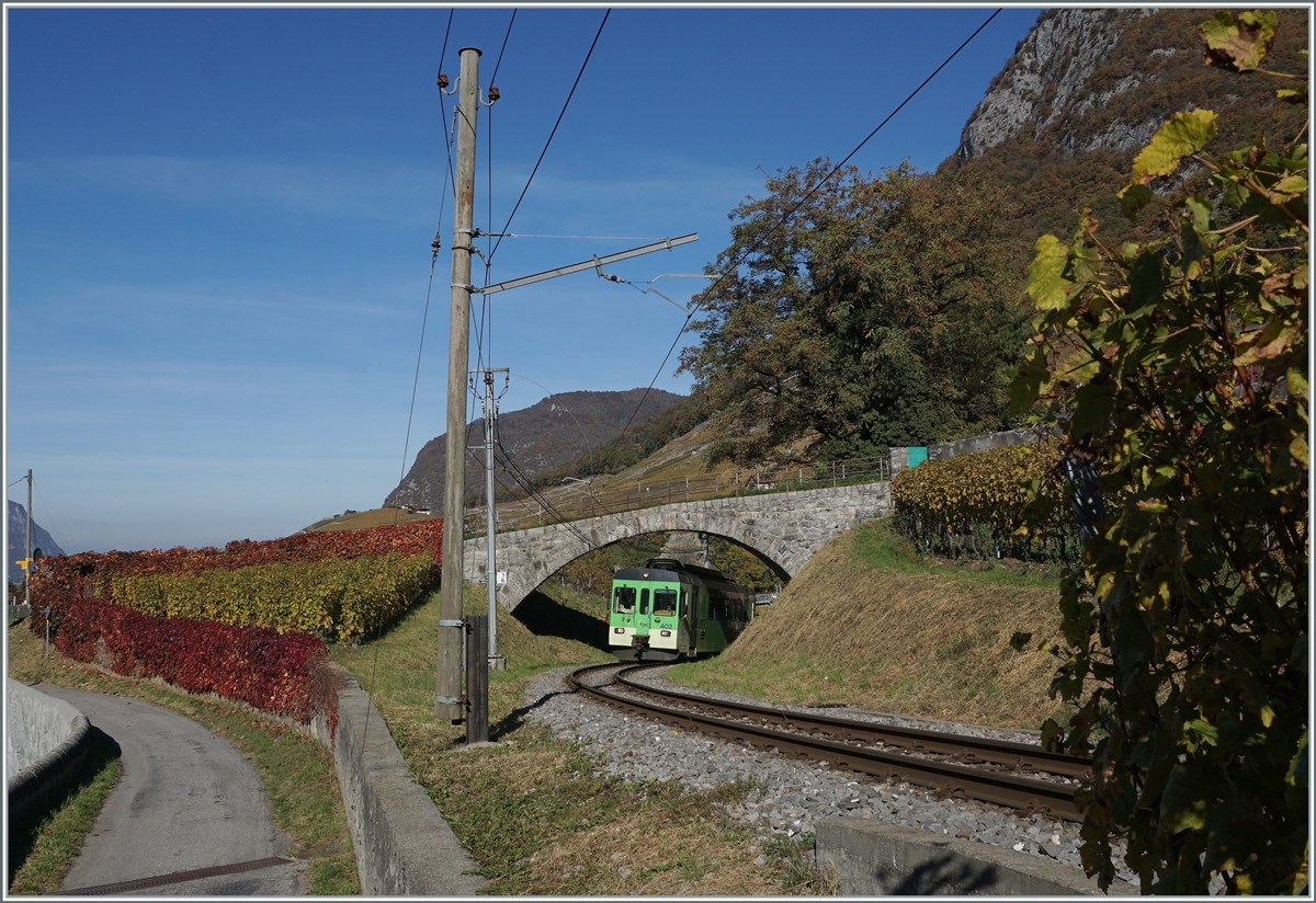The ASD BDe 4/4 402 in the vineyard by Aigle on the way to Exergillod.

27.10.2021