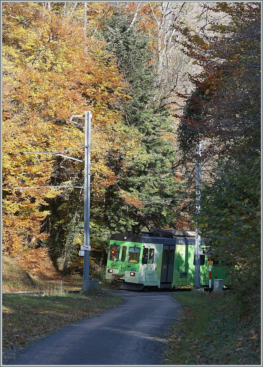 The ASD BDe 4/4 402 in the wood by Verschiez on the way from Aigle to Plambuit. 

05.11.2021