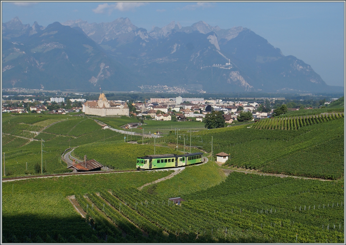 The ASD local train 425 in the vineyard over Aigle. 12.08.2015