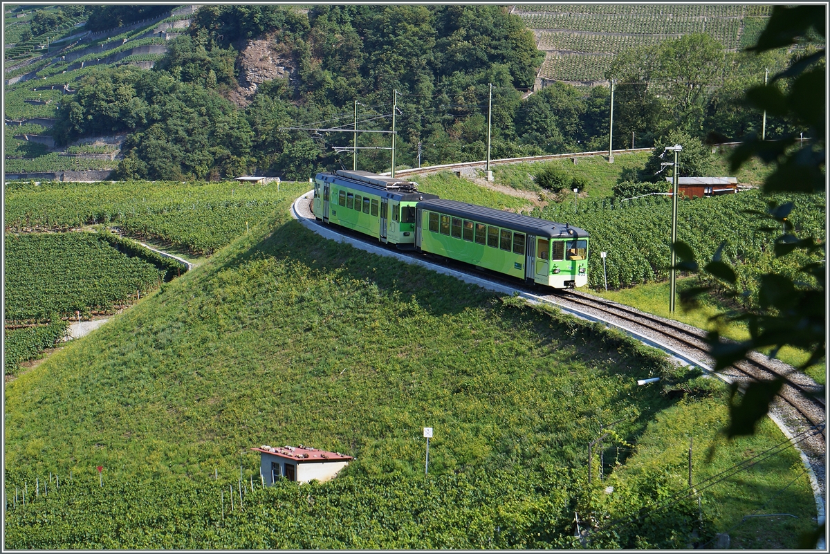 The ASD local train 425 in the vineyard over Aigle. 
12.08.2015