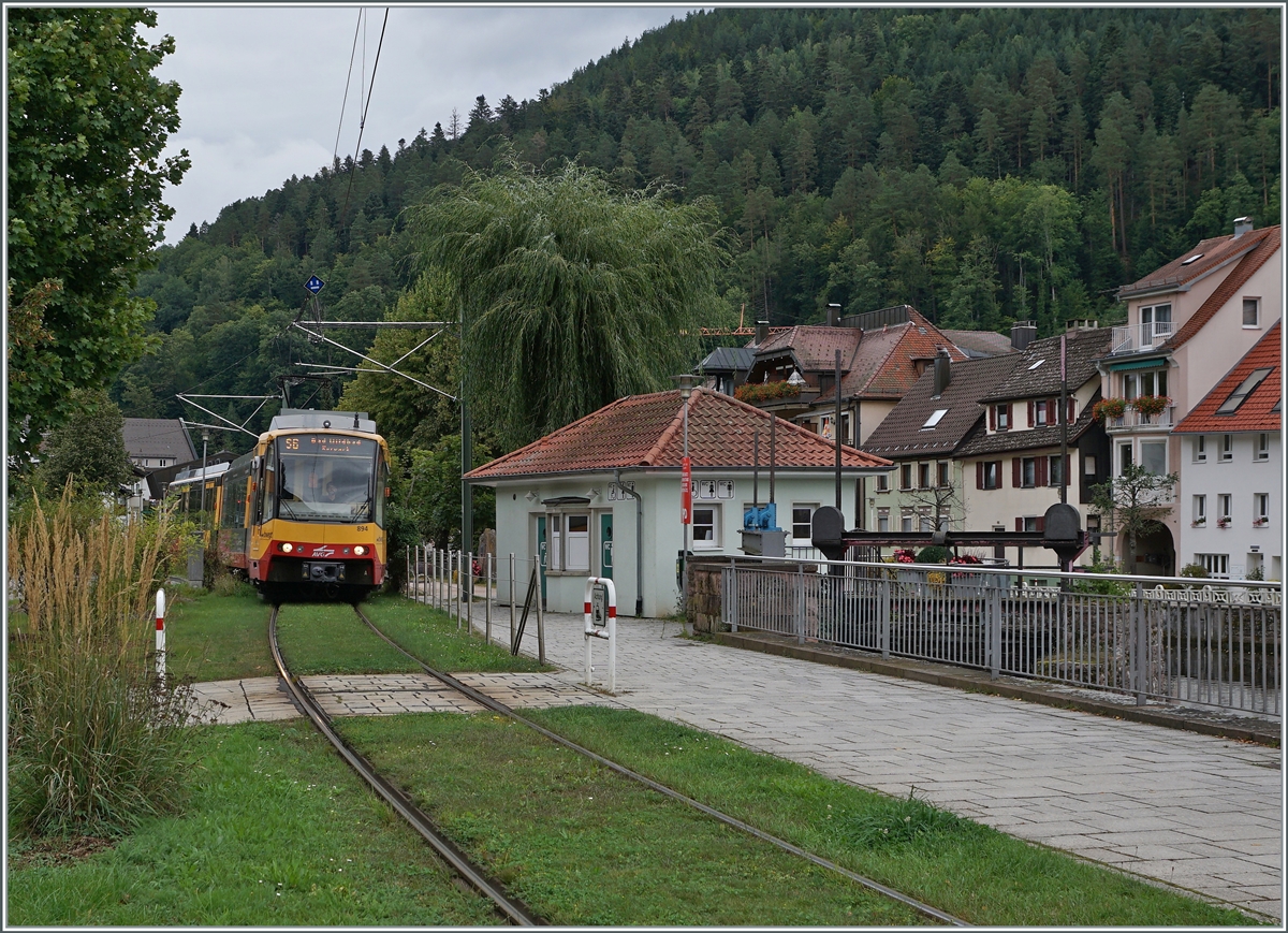 The AVG 450 894 between Bad Wildbad Bf and Bad Wildbad Uhlandplatz. 

15.09.2021