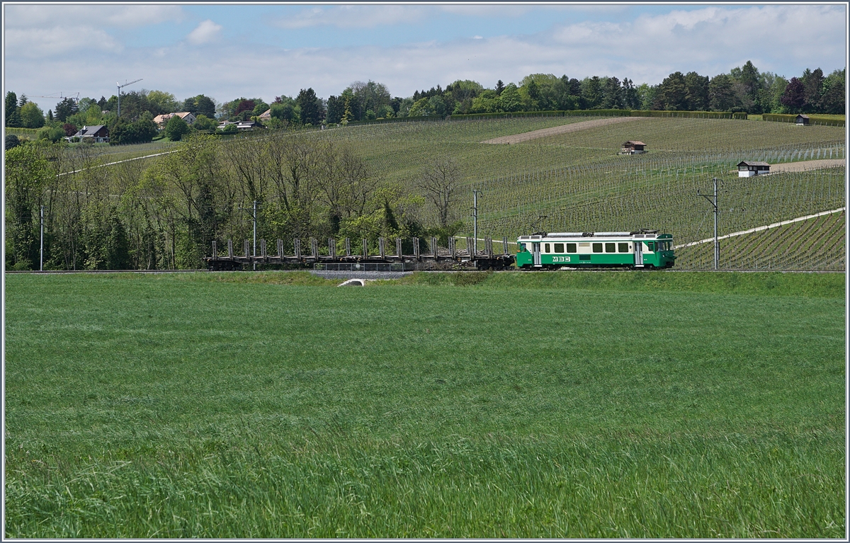 The BAM Be 4/4 N° 12 with a short Cargo train by Vufflens le Château.
09.05.2017