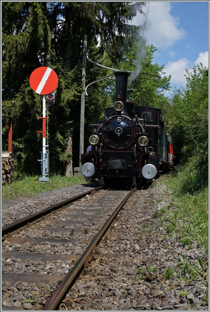 The BAM G 3/3 N° 6 in Chaulin.
15.05.2016