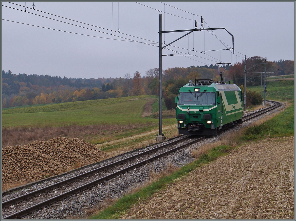 The BAM Ge 4/4 22 near Apples.
24.10.2015