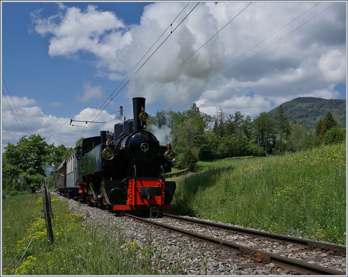 The BC G 2 x2/2 105 near Chaulin.
15.05.2016