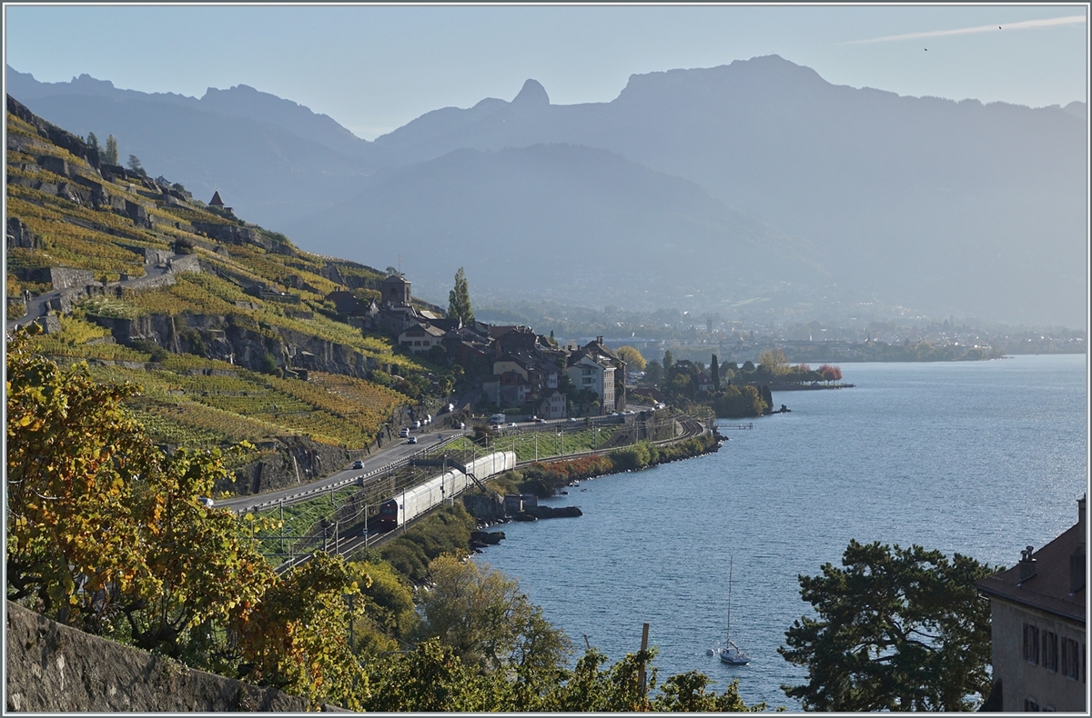 The beautiful Lavaux landscape: A SBB Re 460 wiht a IR 90 on the way from Brig to Genevea airport in the Lavaux. This train was pictured by St Saphorin. 25.10.2022