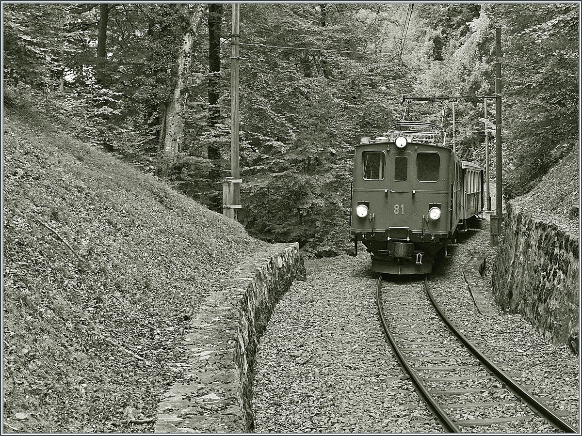 The Bernina Bahn RhB Ge 4/4 81 by the Blonay-Chamby Railway on the way from Blonay to Chaulin in the wood over Blonay. 

11.10.2020
