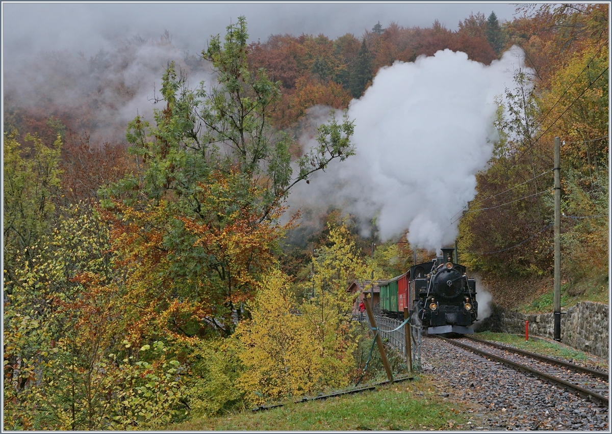 The BFD HG 3/4 N° 3 near Vers chez Robert on the way to Chaulin. 27.10.2018