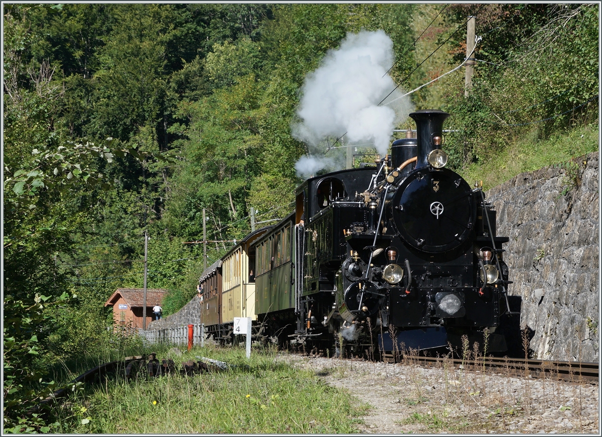 The BFD HG 3/4 N° 3 by Vers Chez Robert on the way to Chamby. 

11.09.2022 