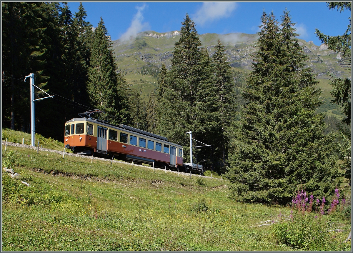 The BLM Be 4/4 31  Lisi  between Grütschalp and Winteregg. 28.08.2014