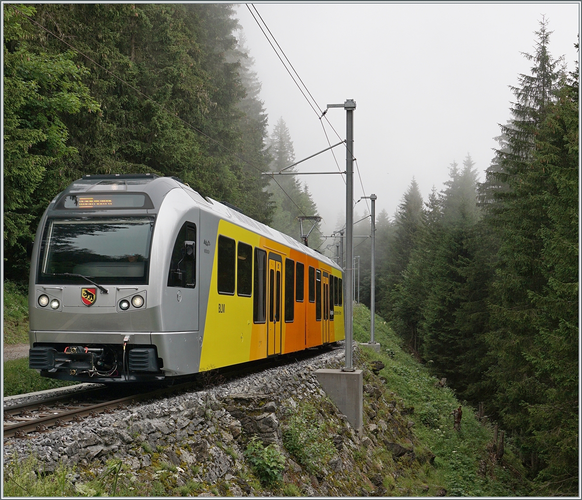 The BLM Be 4/6 can now be seen in scheduled operation. They are currently running the current Be 4/4 21, 23 and 31 railcars in mixed operation, which is not that easy to show photographically. The BLM 4/6 102  Mönch  is almost at the end of its journey as R66 3747 from Grütschalp to Mürren in the foggy forest.

July 23, 2024