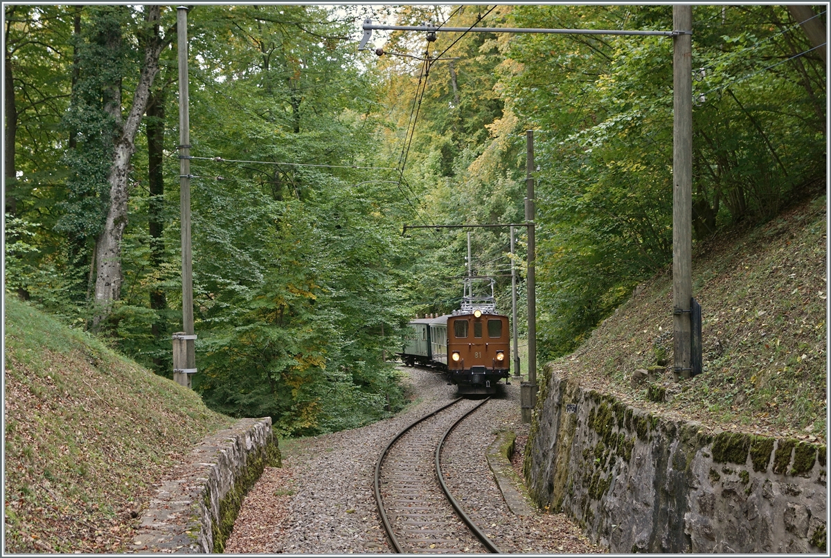 The Blonay Chamby Bernina Bahn Ge 4/4 81 with his train on the way to Chaulin near the Baye de Clarnes Viadukt in the wood by Blonay.  

11.10.2020