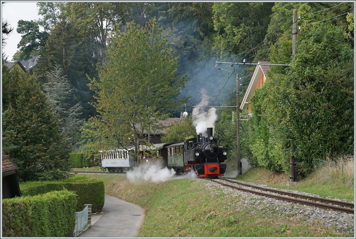 The Blonay-Chamby G 2x 2/2 105 on the way to Chaulin by Blonay.

20.09.2020