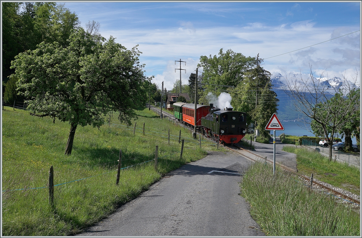 The Blonay-Chamby G 2x 2/2 105 with his steam-service on the way to Blonay by Cornaux. 

22.05.2021