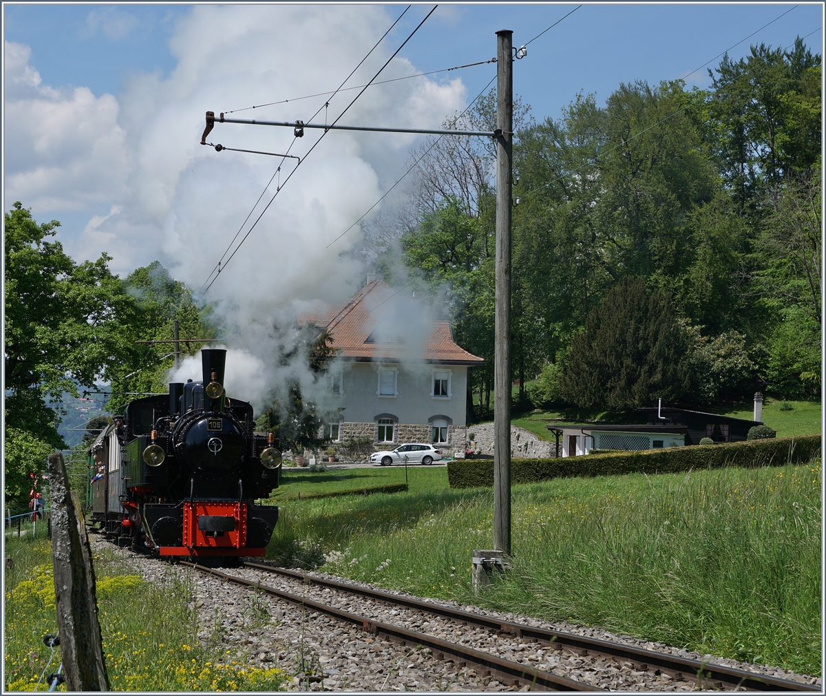 The Blonay Chamby G 2x 2/2 105 by Chaulin on the way to Chamby (and then back to Chaulin).

15.05.2016