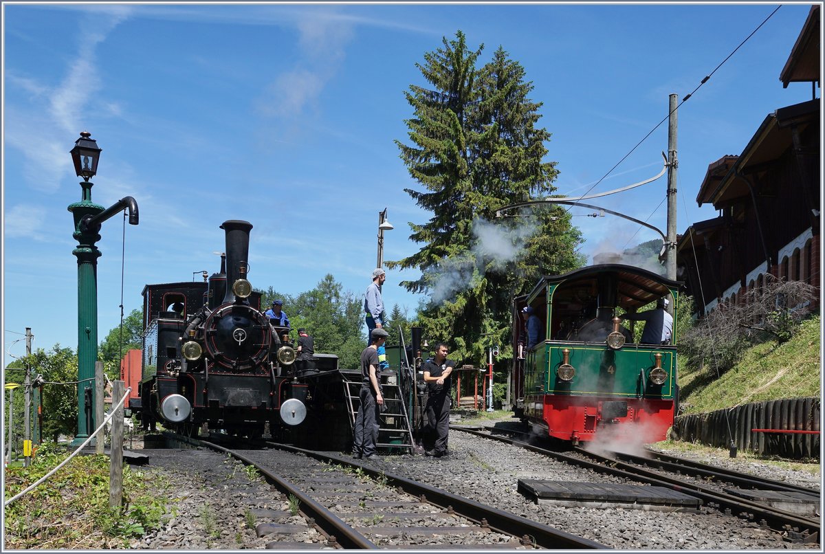 The Blonay Chamby G 3/3 N° 6 and the G 2/2 FP N° 4 in Chaulin.

08.06.2019