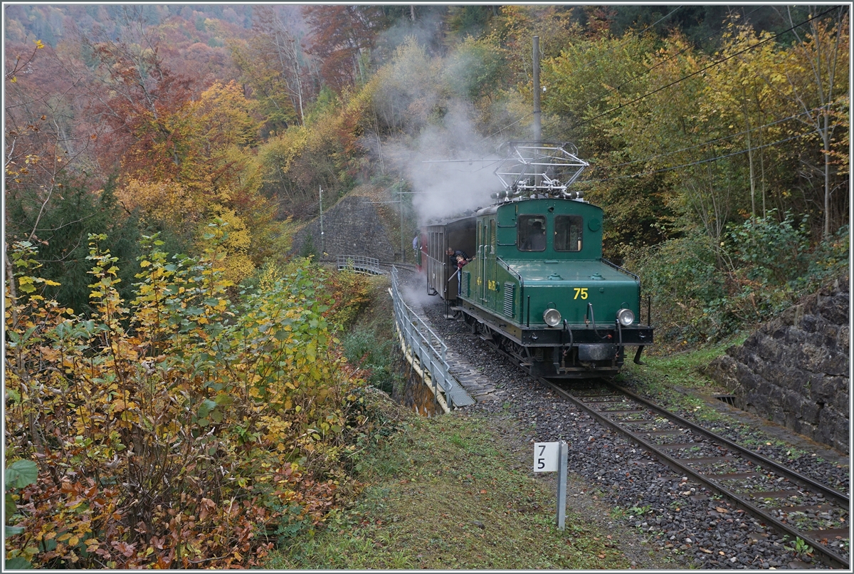 The Blonay-Chamby +GF+ Ge 4/4 75 on the way to Blonay in the Baye of Clarens Glen.

30.10.2021