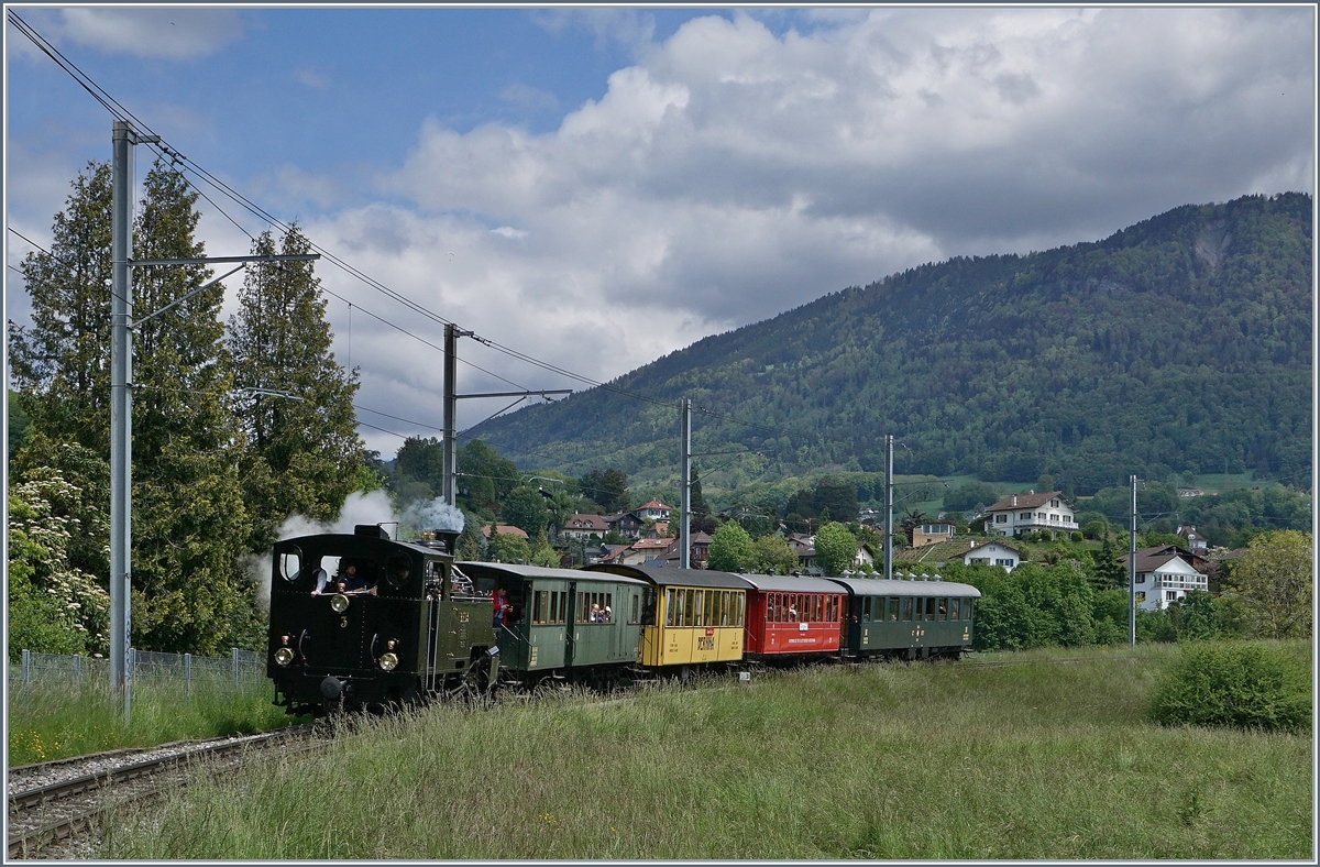 The Blonay Chamby HG 3/4 N° 2 near Château d'Hauteville.
16.05.2016