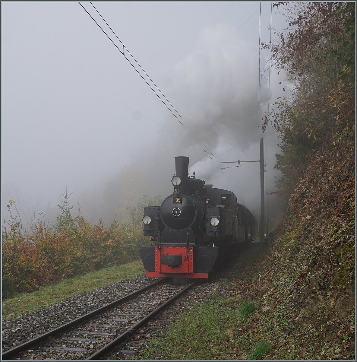 The Blonay-Chamby Railway G 2x 2/2 105 betwenn Chaulin and Chamby. 

31.10.2021