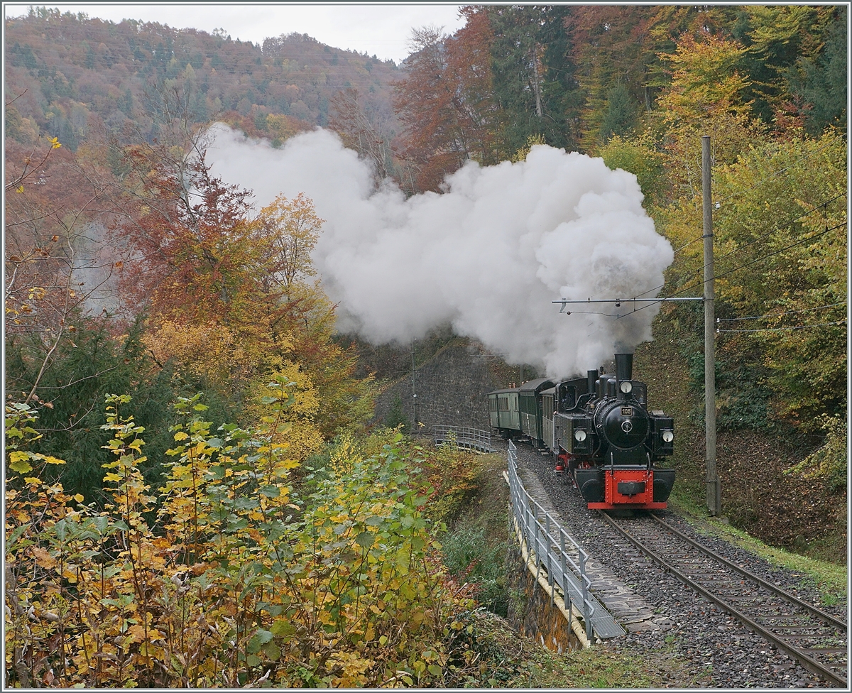 The Blonay-Chamby Railway G 2x 2/2 105 in the Baye de Clarnes Glen on the way to Chaulin. 

30.10.2021