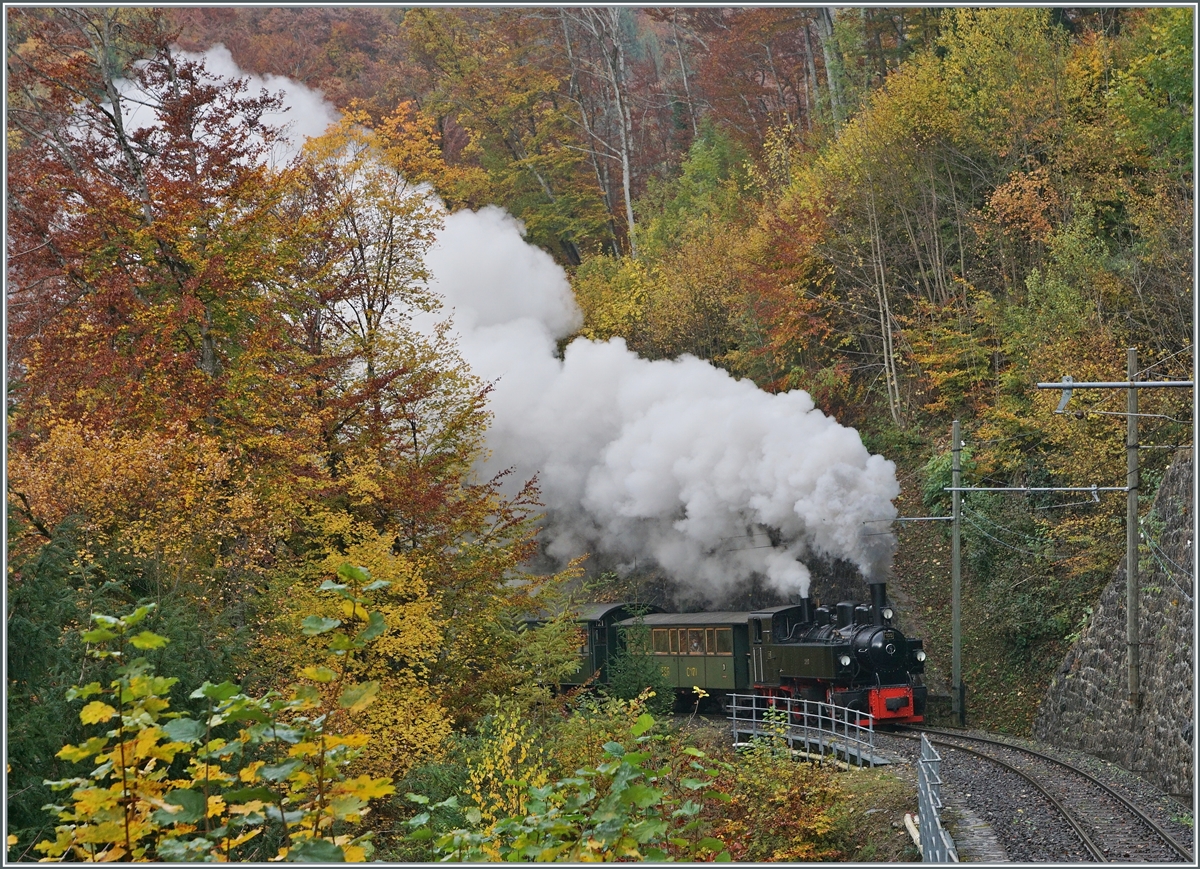 The Blonay-Chamby Railway G 2x 2/2 105 in the Baye de Clarnes Glen on the way to Chaulin.

30.10.2021