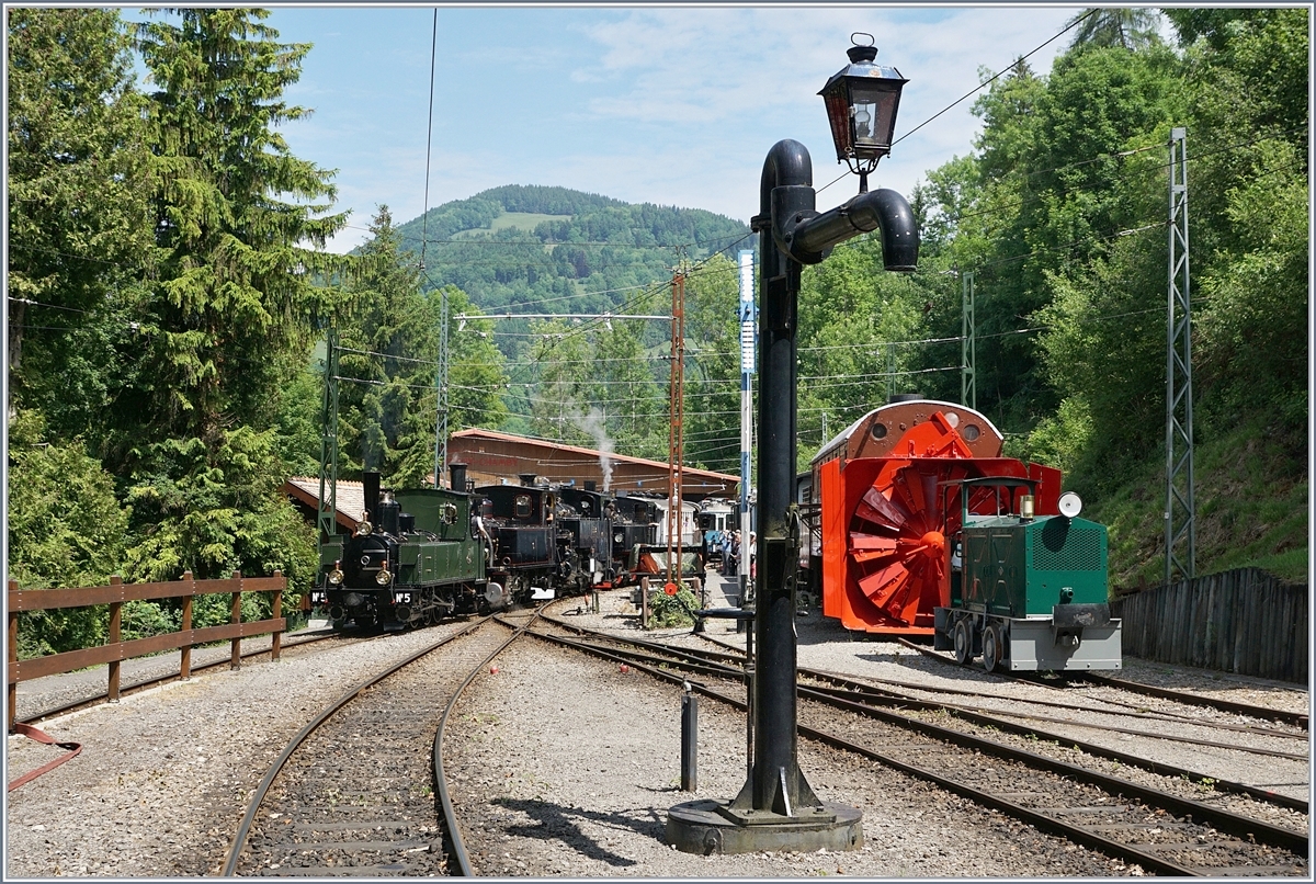 The Blonay Chamby steamer train in Chaulin.
03.06.2017