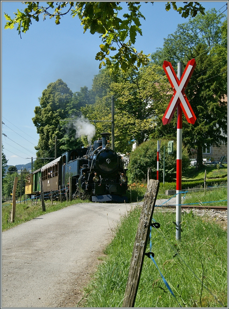 The Blonay-Chamby steamer train near Chaulin.
28.06.2015